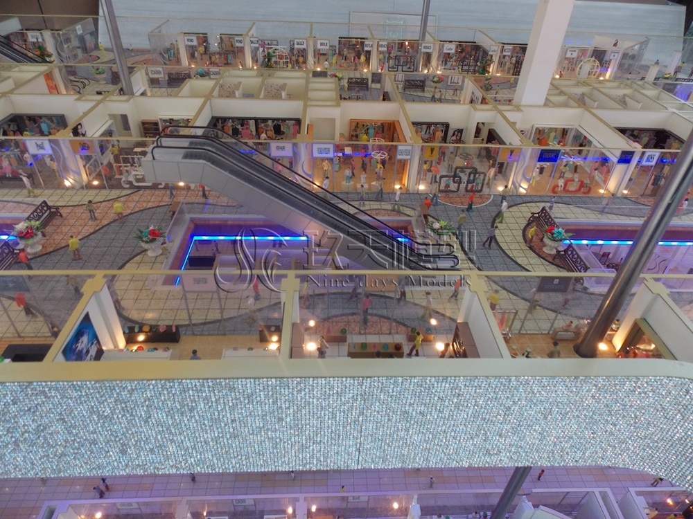 DSCN0834.jpg